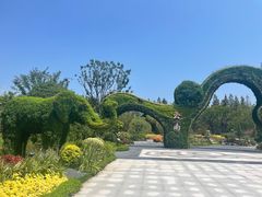 -东平国家森林公园