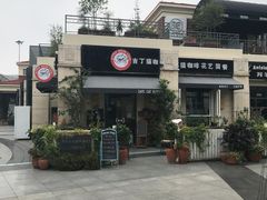 -吉丁鸟咖·异宠·寄养