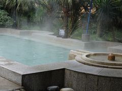 -鱼凫国都大酒店温泉
