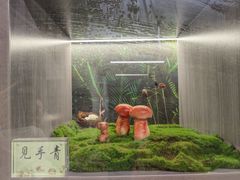 -七采菌园·野生菌石锅鱼(环城北路店)