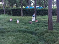 -崇明东平国家森林公园烧烤房车露营地