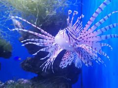 -多彩贵州城极地海洋世界