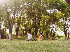 -济南国际园博园