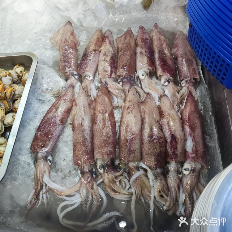 石家庄探店：海味满分美食屋[必吃][必吃]