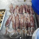 石家庄探店：海味满分美食屋[必吃][必吃]