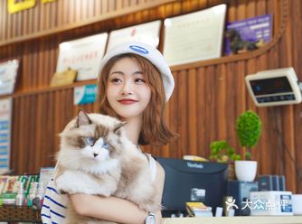 新晋铲屎官｜新手小白快速养成记