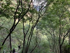 -孤山寨风景区
