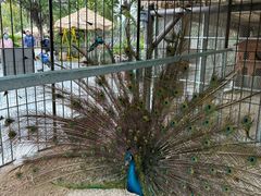 -珠海海泉湾神秘岛亲子乐园