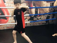 -津武堂散打搏击俱乐部(河西店)