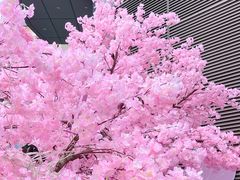 -百佳华佳漾里(坂田店)