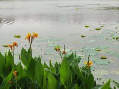 -映月湖公园