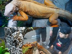 -厦门园林博览苑