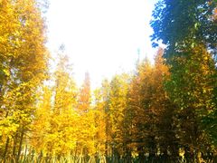 -贵阳市花溪国家城市湿地公园