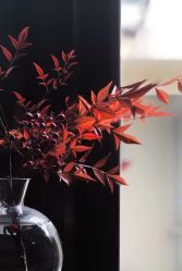 -和良形象