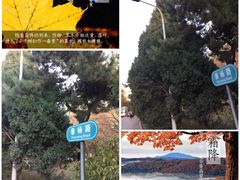 -辽宁大学(崇山校区)