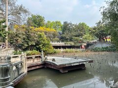 -国恩寺