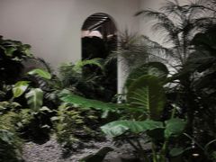 -漫笙舍Manse·咖啡·民宿