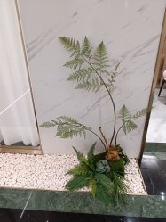-铂诗玥医美