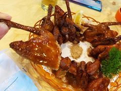 红烧乳鸽-一煲鸽