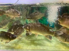 -北国超市(天河店)