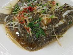 -烁佳海鲜大馅饺子