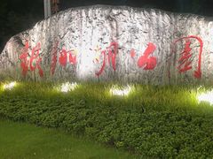 -南翔镇银翔湖公园