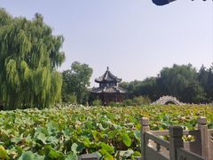 -莲池书院博物馆