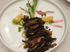 -豪丰国际大酒店-餐厅