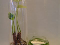 -FEI FEI FLOWER鲜花店·气球派对·宝宝宴布置(虹口德必运动Loft店)