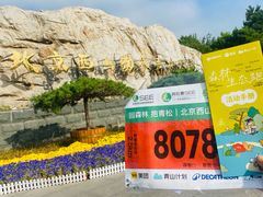 -北京西山国家森林公园