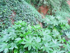-幕燕滨江·燕子矶公园