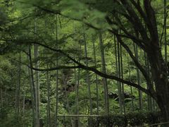 -常寂光寺