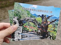 -龙湾潭国家森林公园