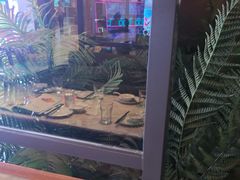 -大树餐厅(益田假日店)