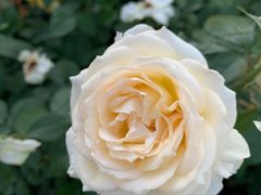 -上海科技馆(地铁站)