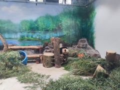 -杭州动物园