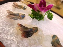 虾生-沙龙酒家