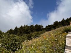 -白草畔自然风景区