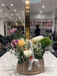 -YESIDO椰岛造型