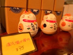 -猫咪博物馆(顶澳仔猫街店)