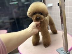 -FAELING PETS美天灵宠物(富力广场店)