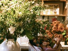 -自由生长植物工作室(深港花卉中心店)