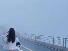 -江南天池