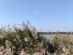 -绿堤公园