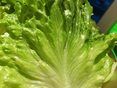-姜胖胖韩式自助烤肉(光明万达店)