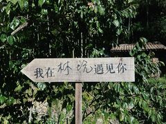 -林坑古村落