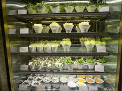 -半岛翡丽海鲜自助餐厅(观风亭店)