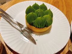抹茶挞-猫里有甜