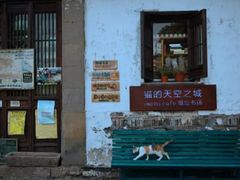 -猫的天空之城概念书店(苏州平江店)