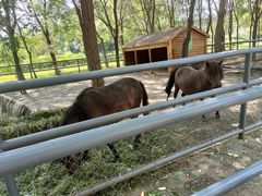 -长白岛森林公园